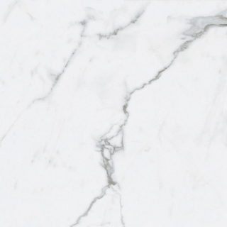 Picture of Roca - Bianco Venatino II 24 x 24 Polished Bianco Venatino