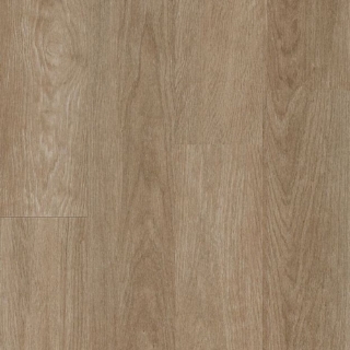 Picture of Armstrong - American Personality Pro Biscuit