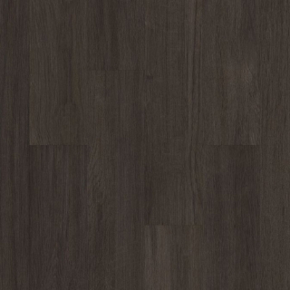 Picture of Philadelphia Commercial by Shaw - Silva Valley 5.0 Iron Mountian