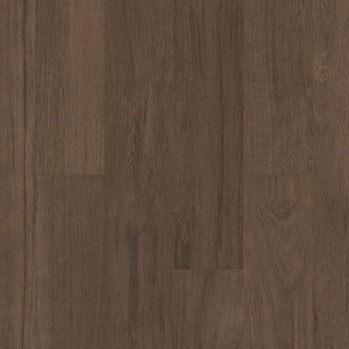 Picture of Philadelphia Commercial by Shaw - Silva Valley 5.0 Saguaro