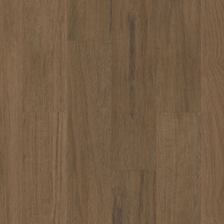 Picture of Philadelphia Commercial by Shaw - Silva Valley 5.0 Sedona