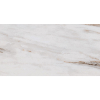 Picture of Roca - Calacatta Gold 24 x 48 (New Packaging) Calacatta Gold Matte