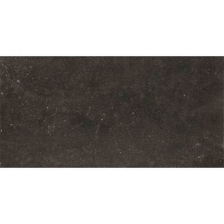 Picture of Daltile - Diplomacy Paver 20 x 40 Dark Grey