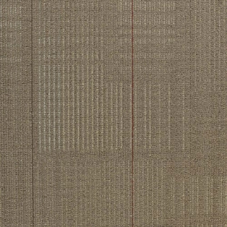 Picture of Shaw Contract - Diffuse 24 x 24 Annual