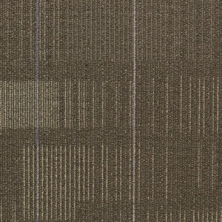 Picture of Shaw Contract - Diffuse 24 x 24 Nomad