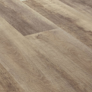 Picture of SOHO Studio Corp - Broadway Mushroom