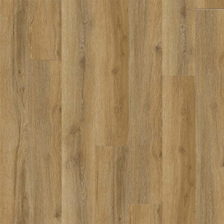 Picture of Pentz - Avenue Plus Kyoto