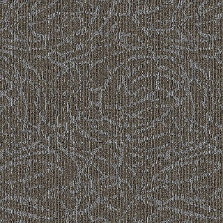 Picture of Aladdin Commercial - Meandering Trail Birch