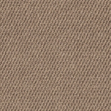 Picture of Mohawk - Tortuga II Camel