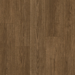 Picture of Palmetto Road - Trailblazer Tanner Trail