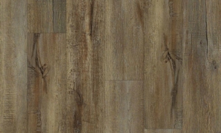 Picture of Philadelphia Commercial by Shaw - 5636V Modeled Oak