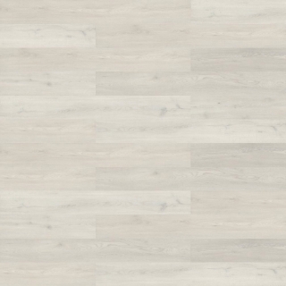 Picture of Shaw Contract - Branching Out 5mm Rise Oak