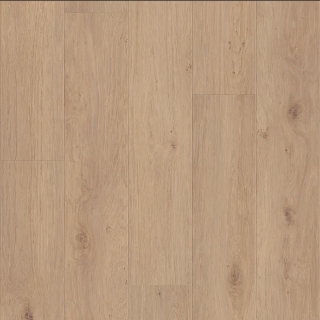 Picture of Shaw Floors - Fresh Take Occasional Beige