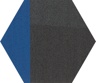Picture of Shaw Contract - Contact Hexagon Tile Electric Form