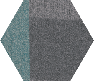 Picture of Shaw Contract - Contact Hexagon Tile Aerial Progress