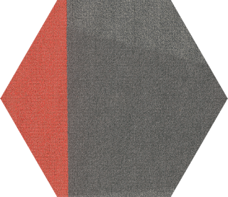 Picture of Shaw Contract - Contact Hexagon Tile Social Dialogue