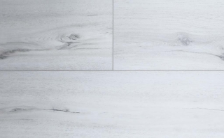 Picture of Audacity - Symphony Franklin