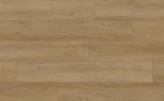 Picture of Audacity - Symphony Gibbons