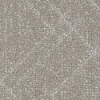 Picture of Shaw Contract - Collective IV Beige