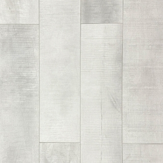 Picture of Tropical Flooring - Summa AC5 Pristine White AC5