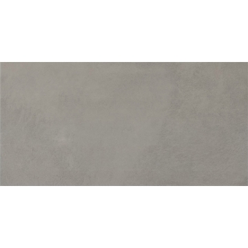 Picture of Daltile - Indoterra 24 x 48 Trail