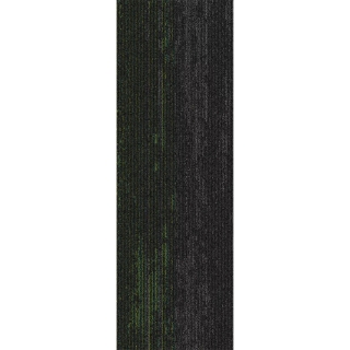 Picture of Mohawk Group - Disruptive Path Above Par