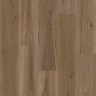 Picture of Shaw Floors - Fresh Take Windsor Brown
