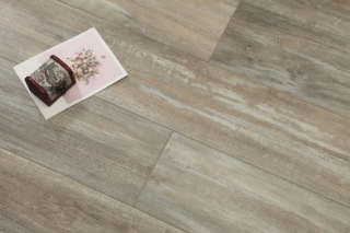 Picture of Stanton - Exotica 326