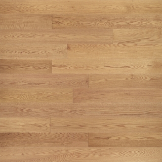 Picture of Veranda - St. Augustine Ponce De Leon