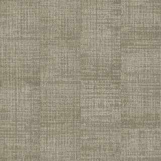 Picture of Shaw Contract - Fine Point Gesso