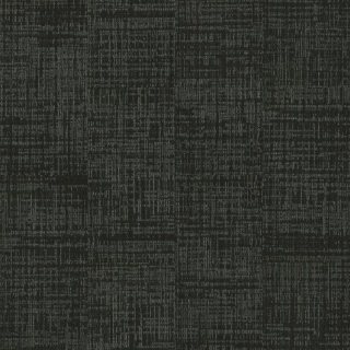 Picture of Shaw Contract - Fine Point Carbon