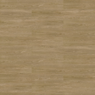 Picture of Shaw Contract - Terrain II Rigid Core 20 MIL 7 x 48 Trail