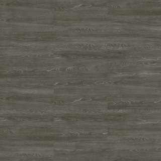 Picture of Shaw Contract - Terrain II Rigid Core 20 MIL 7 x 48 Shade