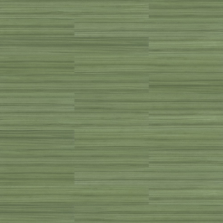 Picture of Shaw Contract - Terrain II 20 Mil 6 x 48 5mm Olive