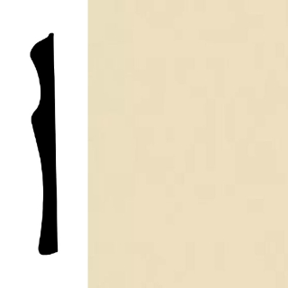 Picture of Mohawk - Sculpted Edge Wall Base 6 Shell