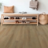 Picture of Shaw Floors - Dwell Homespun Brown