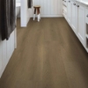 Picture of Shaw Floors - Dwell Homespun Brown