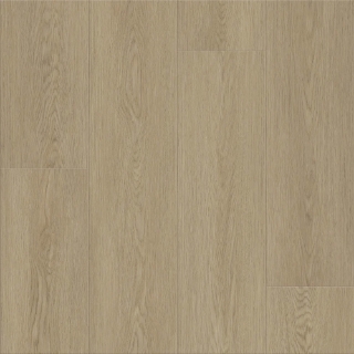 Picture of Shaw Floors - Dwell Light Roast