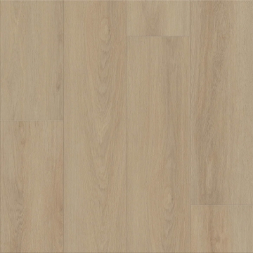 Picture of Shaw Floors - Dwell Cozy Taupe