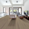Picture of Shaw Floors - Dwell Cozy Taupe