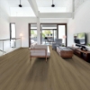 Picture of Shaw Floors - Dwell Nutmeg