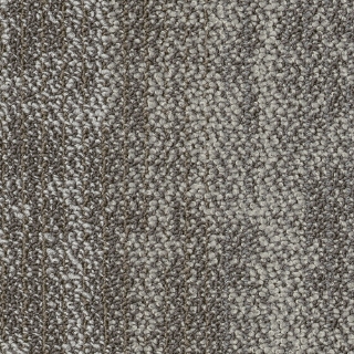 Picture of Shaw Contract - Suspend Tile Branch