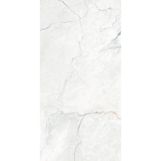 Picture of Happy Floors - Statik 24 x 48 Blend Polished