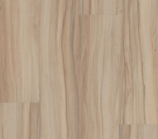 Picture of Philadelphia Commercial by Shaw - Rewild Native