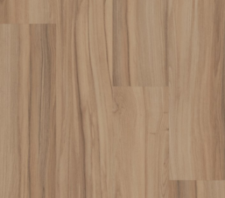 Picture of Philadelphia Commercial by Shaw - Rewild Untamed