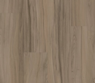 Picture of Philadelphia Commercial by Shaw - Rewild Grounded