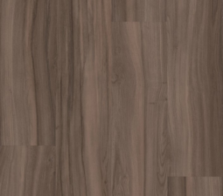 Picture of Philadelphia Commercial by Shaw - Rewild Venture