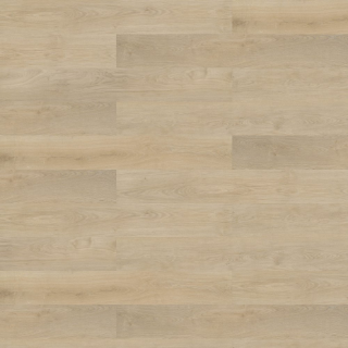 Picture of Shaw Contract - Branching Out Coretec 12MIL Plains Oak