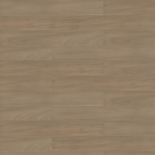 Picture of Shaw Contract - Branching Out Coretec 12MIL Zion Oak