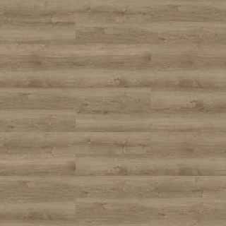 Picture of Shaw Contract - Respite Coretec Path